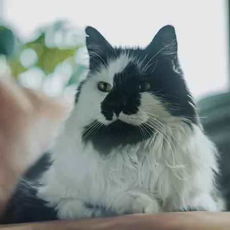 Med Fantastisk Utsikt, Stillhet Og Naerhet Til Sentrum Διαμέρισμα *